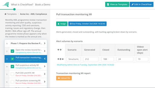 AML Compliance Programme Review Template